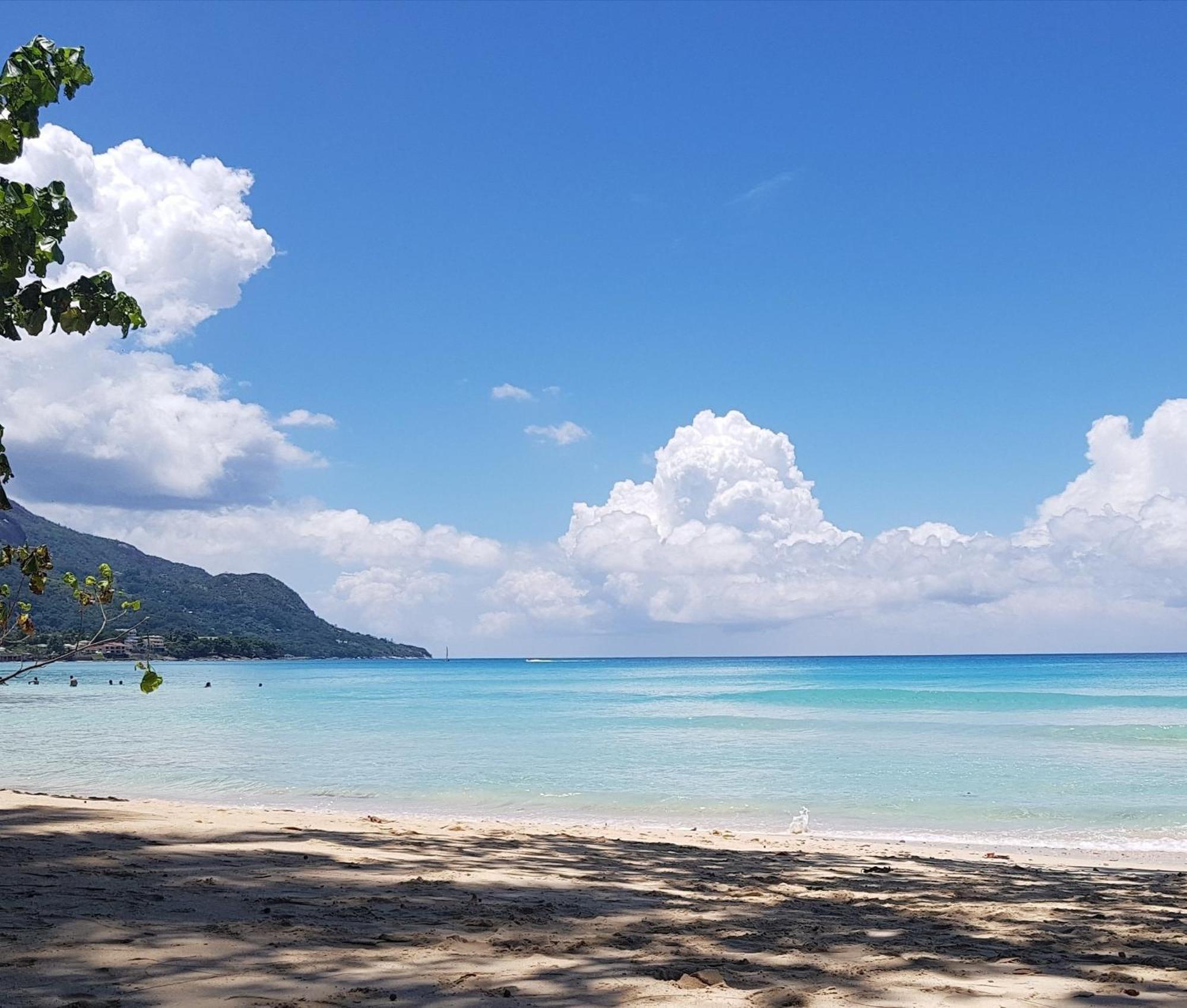 Alpha & Omega Apartment Seychelles بو فالون المظهر الخارجي الصورة